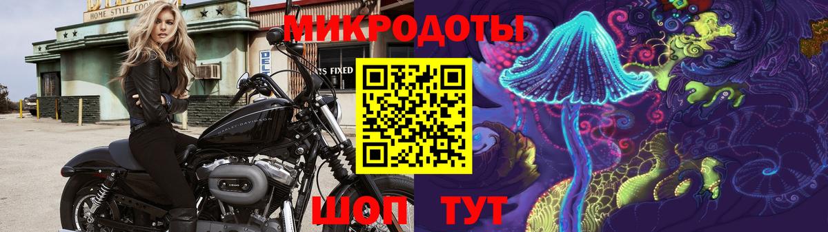 Галлюциногенные грибы Magic Shrooms Егорьевск